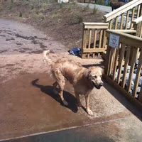 PetSafe Concord Dog Park
